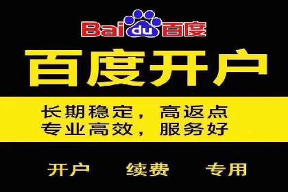 百度SEO与广告结合的多元化推广策略——多行业成功案例